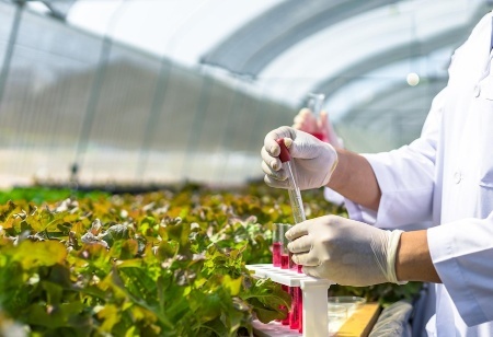  Agrochemical production 